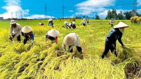 Kế hoạch lớn của nông sản - Báo Công an Nhân dân điện tử