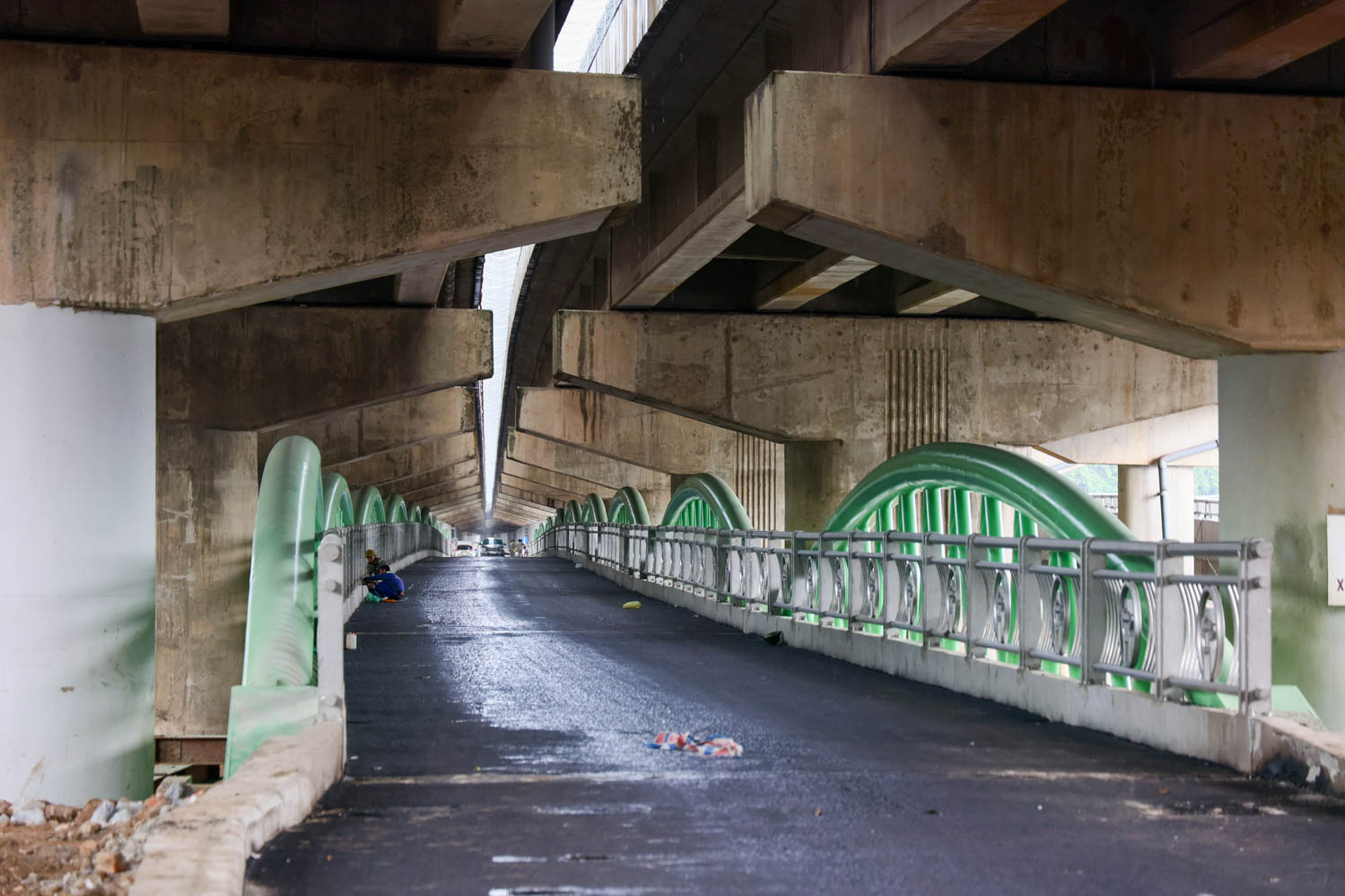 Cầu vòm sắt đầu tiên ở Hà Nội trước ngày thông xe -4