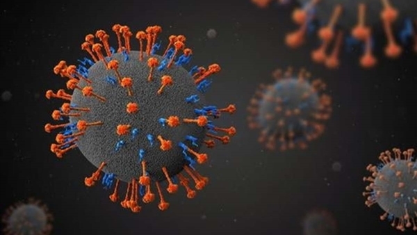 Có lo ngại về loại virus này không?
