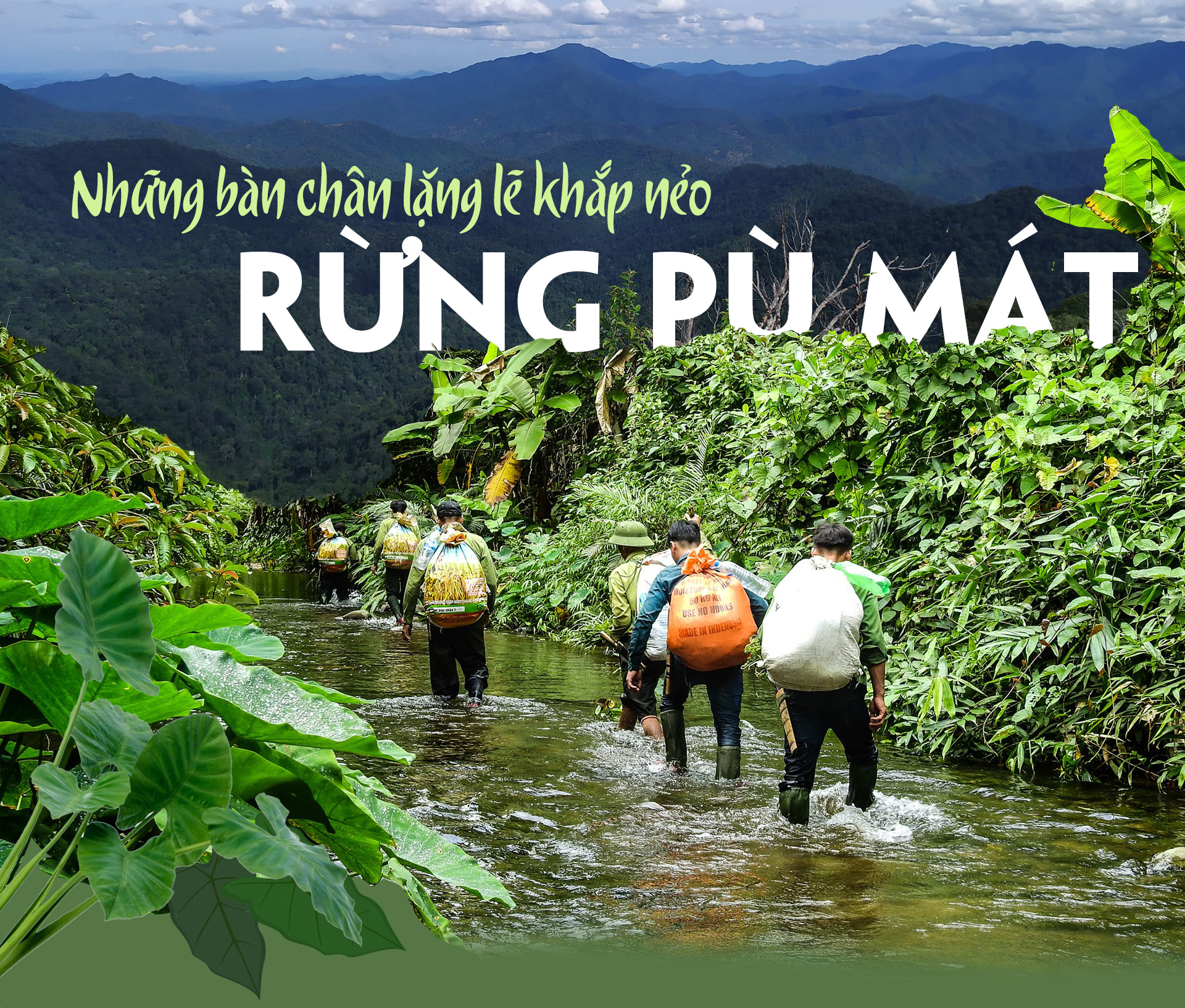 Những bàn chân lặng lẽ khắp nẻo rừng Pù Mát -0