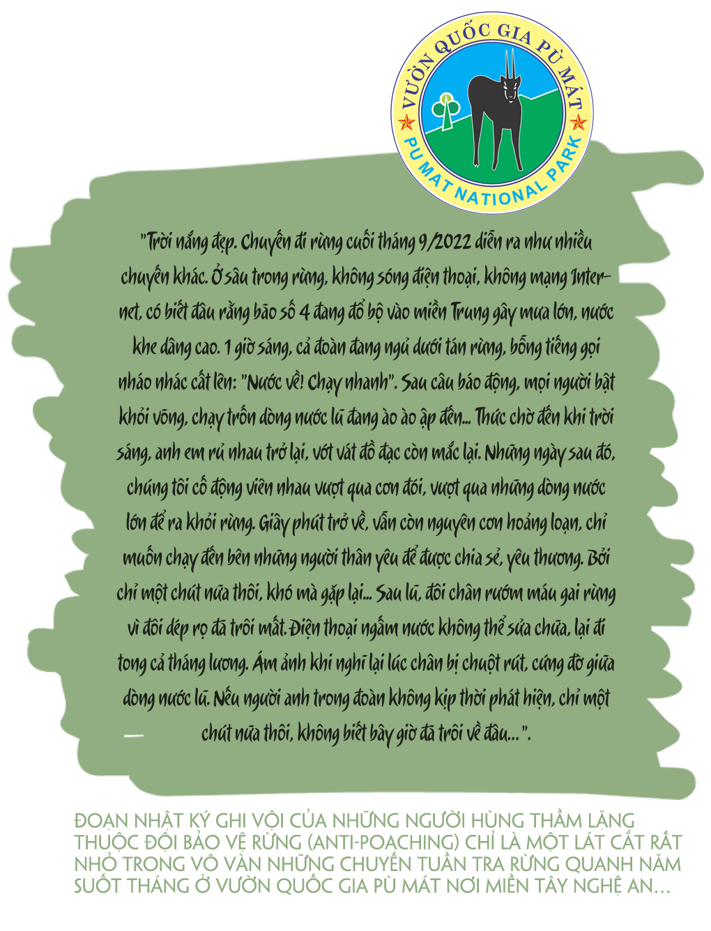 Những bàn chân lặng lẽ khắp nẻo rừng Pù Mát -0