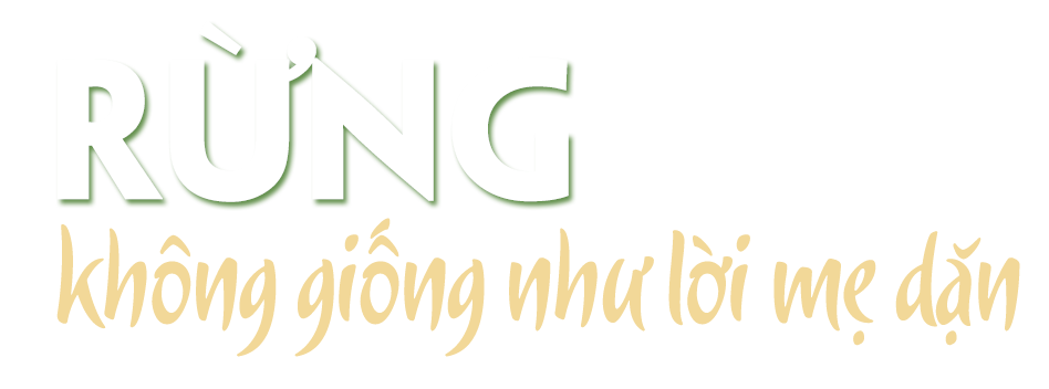 Những bàn chân lặng lẽ khắp nẻo rừng Pù Mát -0