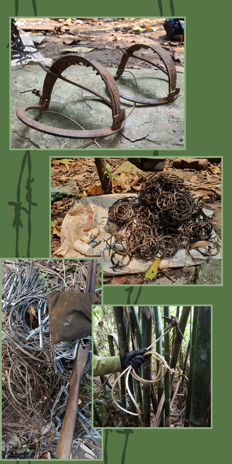 Những bàn chân lặng lẽ khắp nẻo rừng Pù Mát -0