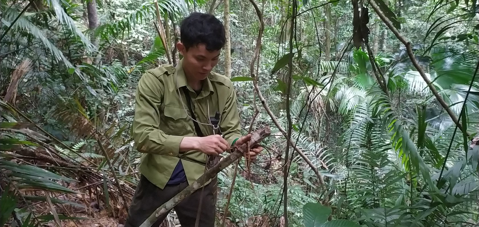 Những bàn chân lặng lẽ khắp nẻo rừng Pù Mát -0