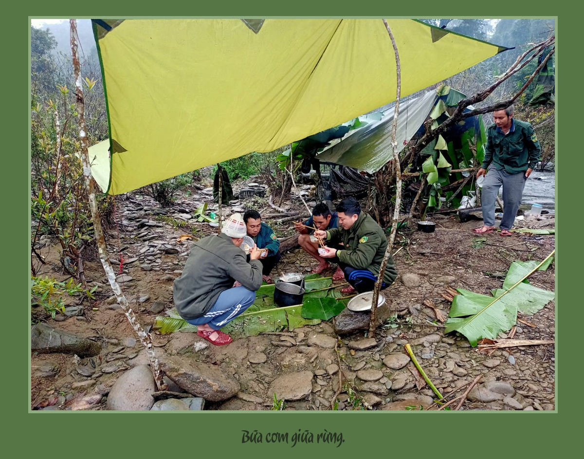 Những bàn chân lặng lẽ khắp nẻo rừng Pù Mát -0