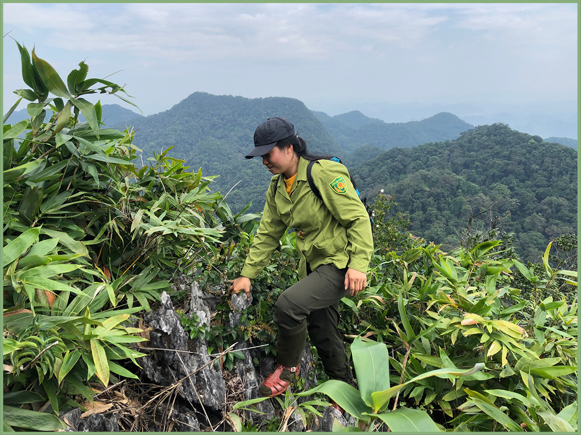 Những bàn chân lặng lẽ khắp nẻo rừng Pù Mát -0