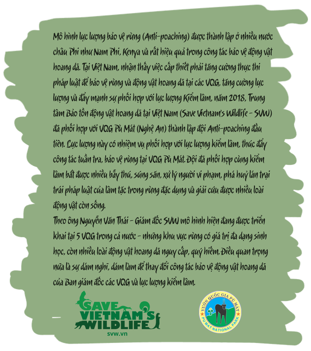 Những bàn chân lặng lẽ khắp nẻo rừng Pù Mát -0