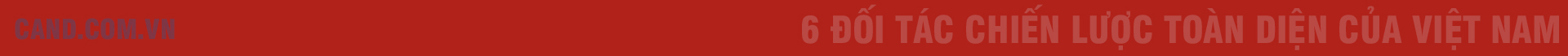 6 Đối tác Chiến lược Toàn diện của Việt Nam -0