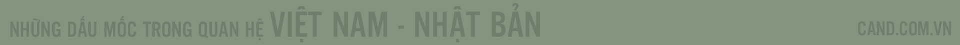 Những dấu mốc trong quan hệ Việt Nam - Nhật Bản -0