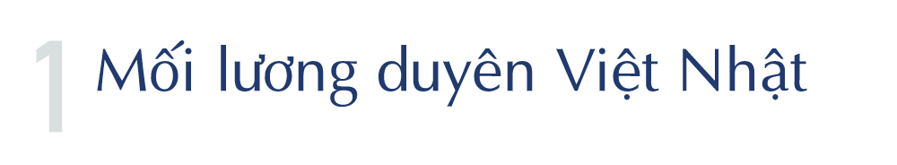 GS.TS Furuta Motoo: “Tài sản quý giá nhất của tôi là những người bạn Việt Nam” -0