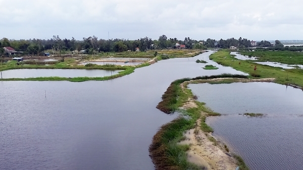 Khẩn trương chấn chỉnh nạn “xẻ thịt” sông Trường Giang để nuôi thủy sản trái phép