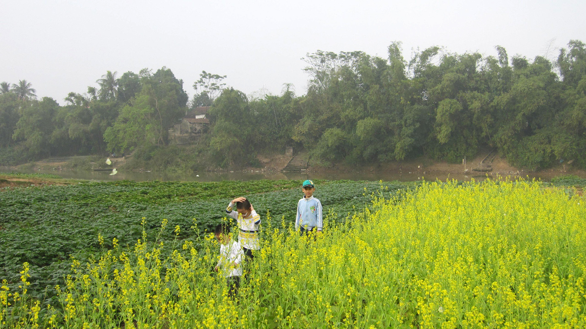 Nhà thơ Nguyễn Quang Thiều: Tết Nguyên Đán là một điều kỳ diệu -0