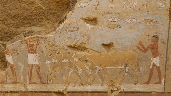 Tranh màu 4.300 năm tuổi trong mộ cổ Ai Cập - Báo Công an Nhân dân điện tử