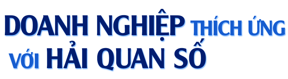 Sửa đổi khung pháp lý hải quan: Lợi ích kép cho doanh nghiệp và cơ quan quản lý -0