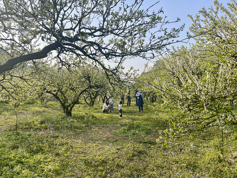 trong rá»«ng máº­n á»ÿ thung lå©ng nã  ka.jpg -0