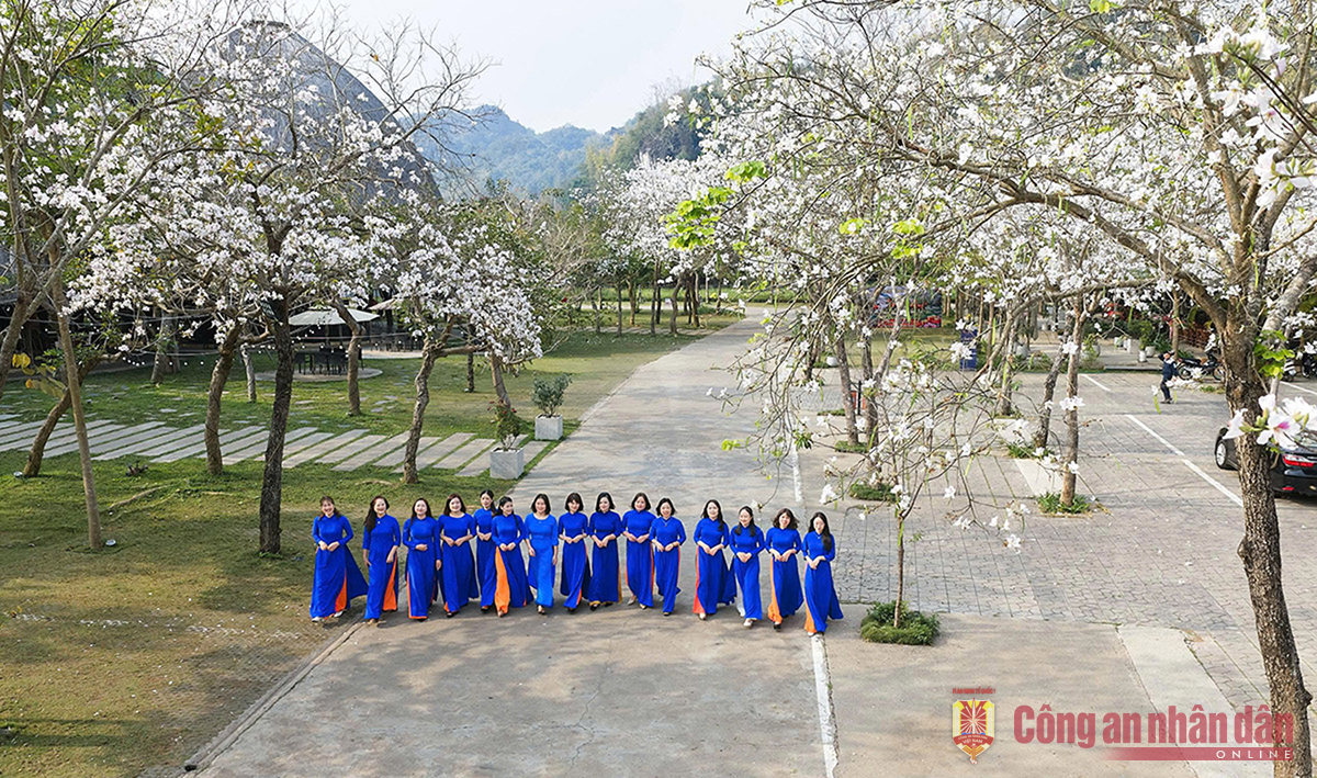 Dịu dàng nàng ban -0