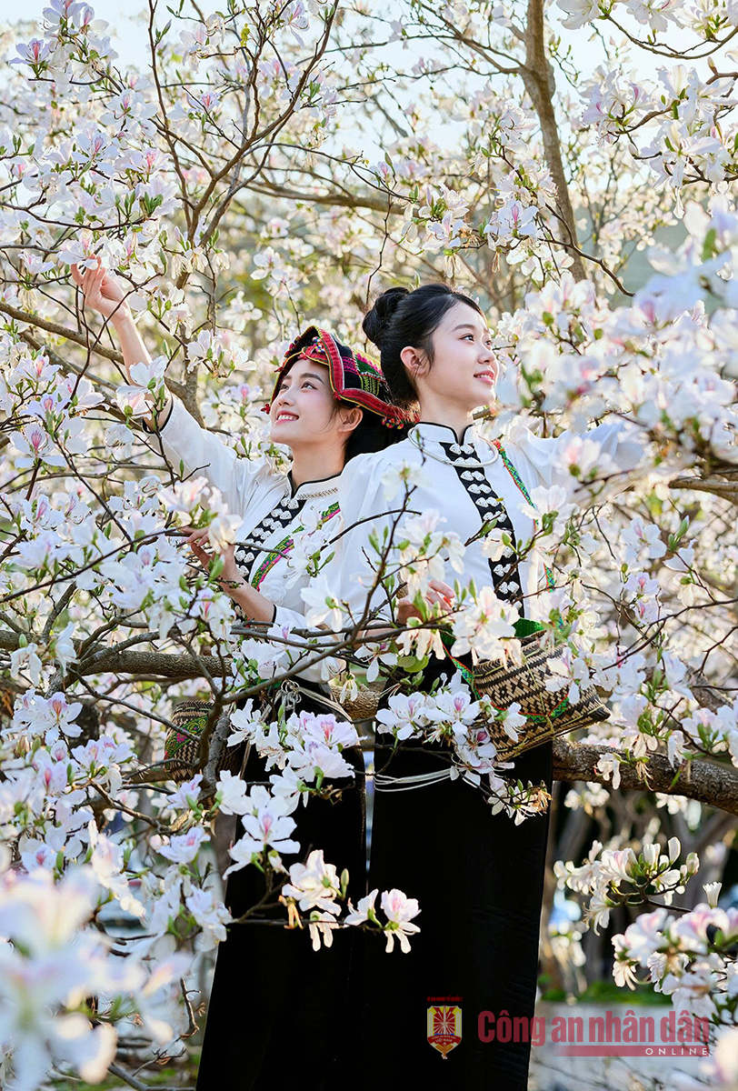 Dịu dàng nàng ban -0