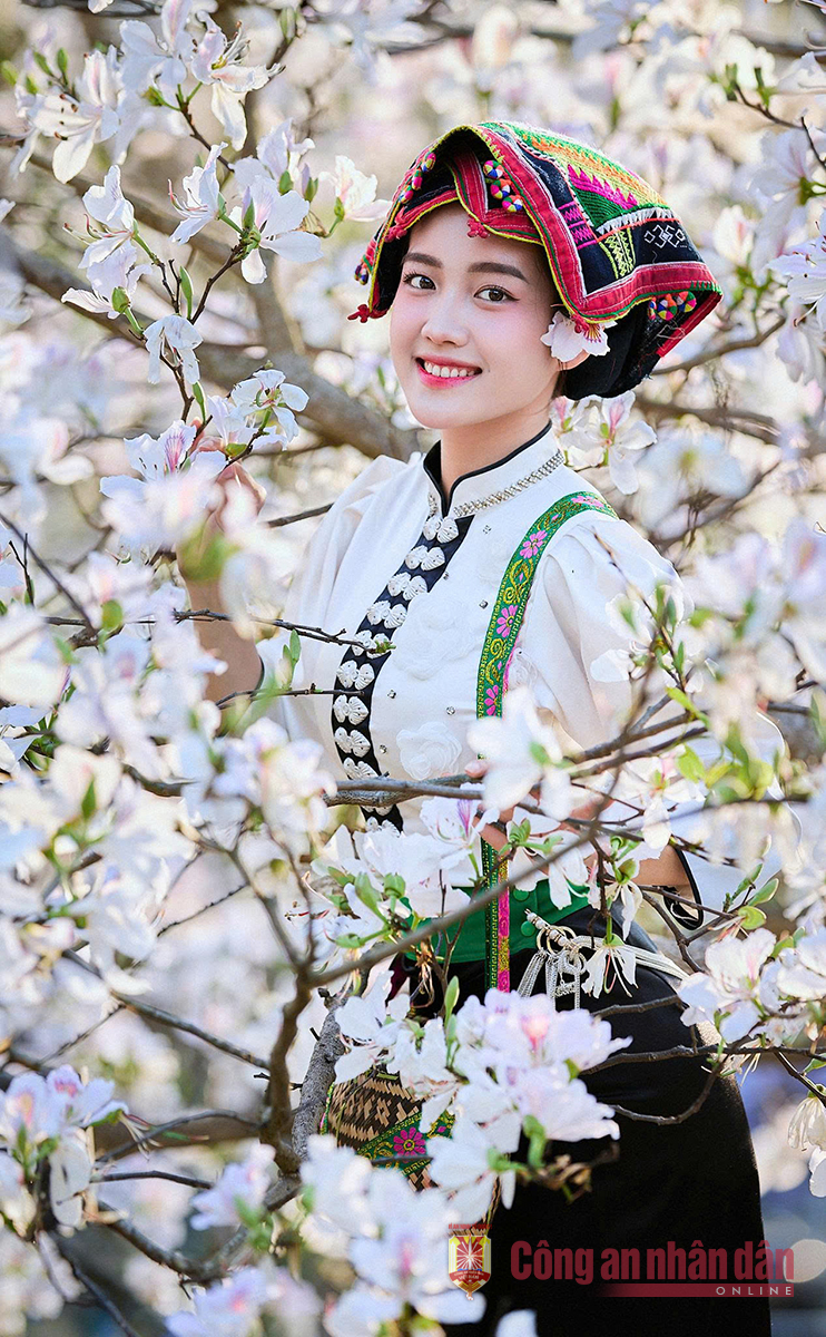 Dịu dàng nàng ban -0