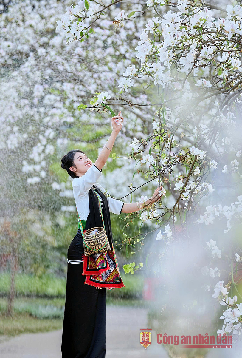 Dịu dàng nàng ban -0