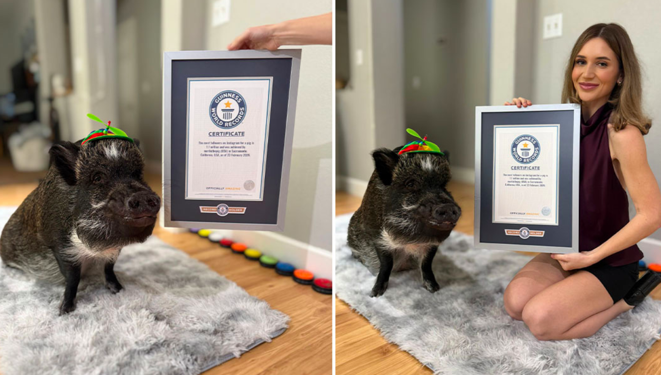 cô mina b-t d-u hu-n luy-n l-n merlin khi nó 2,5 tháng tu-i. -nh tgr..png -0