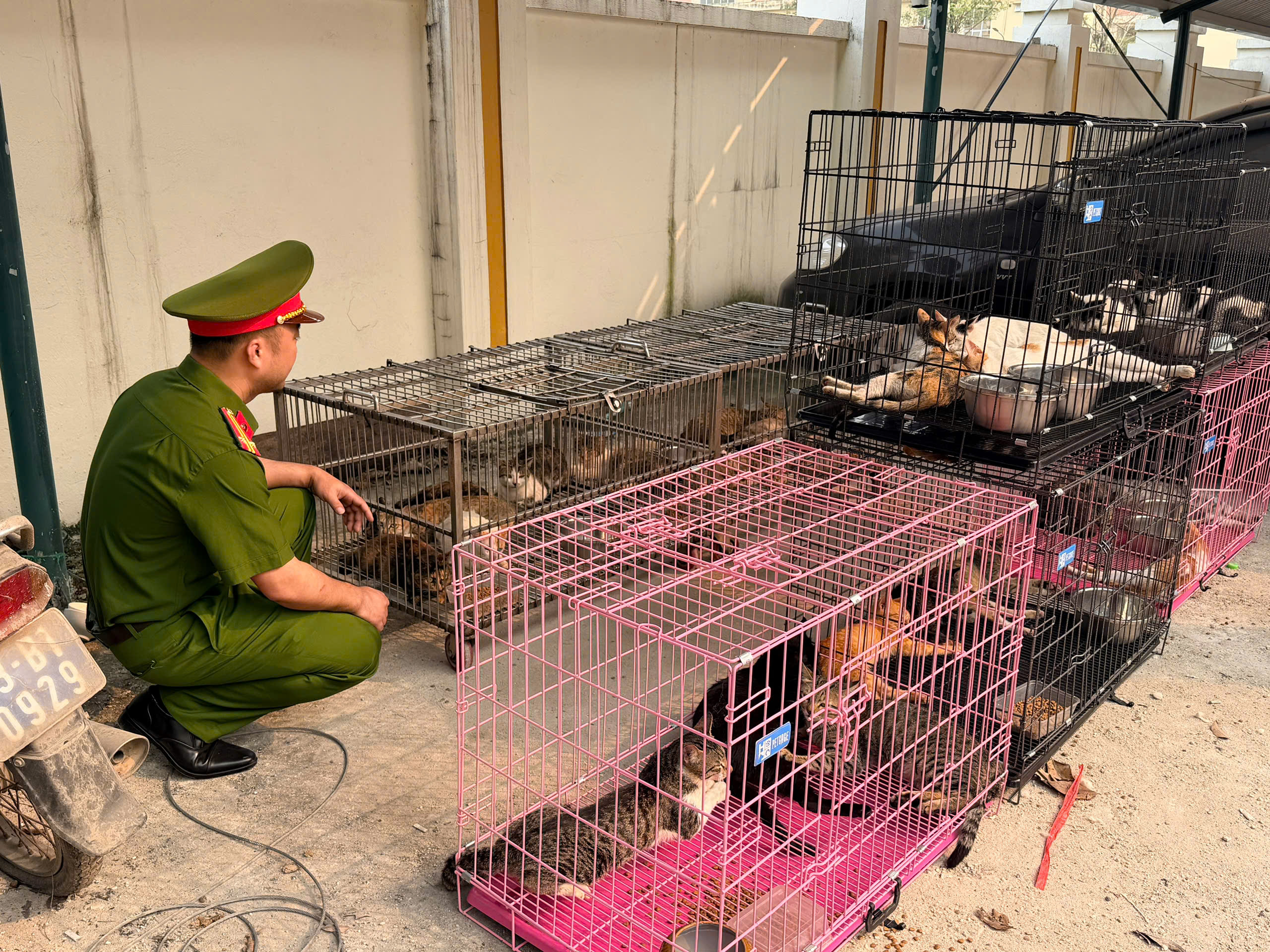 Bắt giữ nhóm đối tượng 