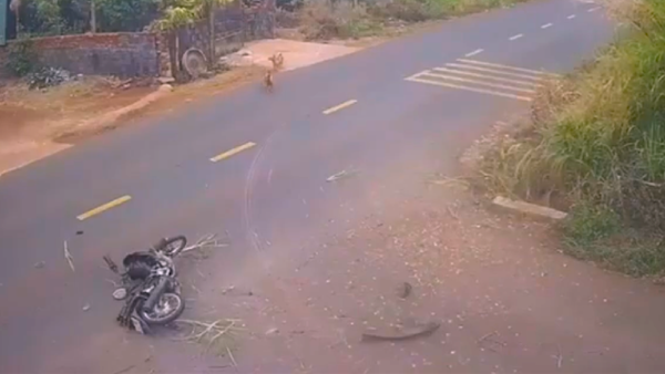 Sẽ họp báo thông tin rõ vụ tai nạn giao thông khiến 1 học sinh tử vong ở Đắk Lắk - Báo Công an nhân dân điện tử