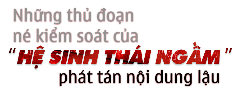 Dẹp nạn ăn cắp bản quyền trên không gian số: Ma trận “đen” web lậu (bài 2) -0