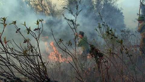 Cháy rừng tại Vườn Quốc gia Hoàng Liên, huy động hàng trăm người dập lửa