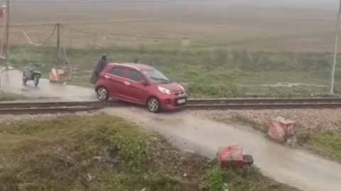 Tàu hàng phanh gấp tránh tai nạn với ô tô mắc kẹt trên đường ray