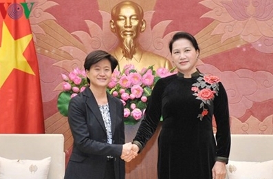 越南国会主席阮氏金银会见新加坡驻越大使凯瑟琳