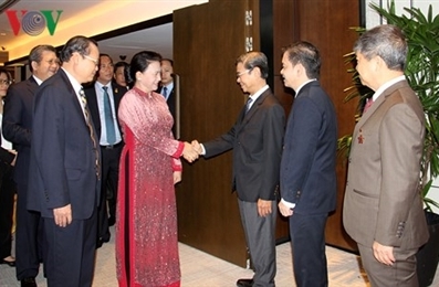 越南国会主席阮氏金银会见对越投资的新加坡企业代表