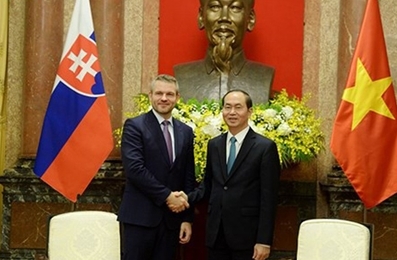 越南国家主席陈大光会见斯洛伐克副总理佩特尔·佩列格里尼