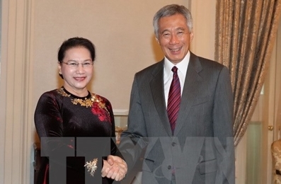 越南国会主席阮氏金银会见新加坡总理李显龙