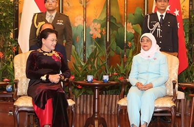 越南国会主席阮氏金银会见新加坡共和国总统哈莉玛·雅各布