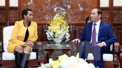 越南国家主席陈大光会见南非驻越大使