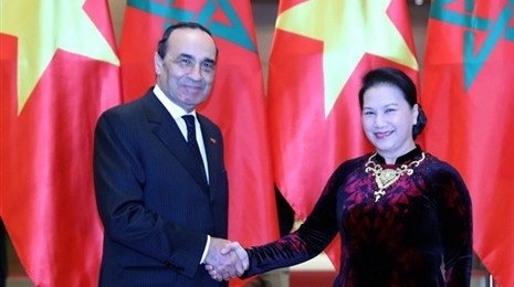 越南国会主席阮氏金银与摩洛哥众议院议长哈比博·马勒克举行会谈