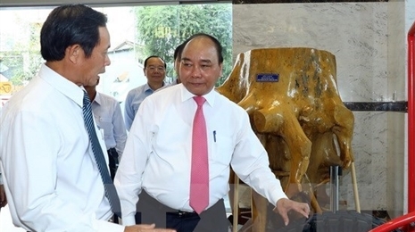 越南政府总理阮春福视察越南橡胶工业集团