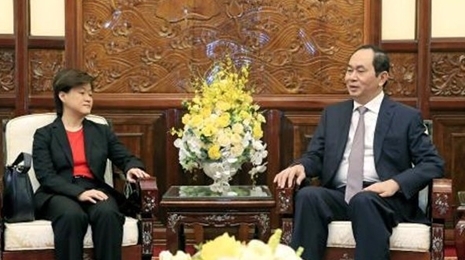 越南国家主席陈大光会见新加坡驻越南大使