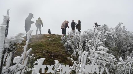 下雪天气 母山旅游景区游客量猛增