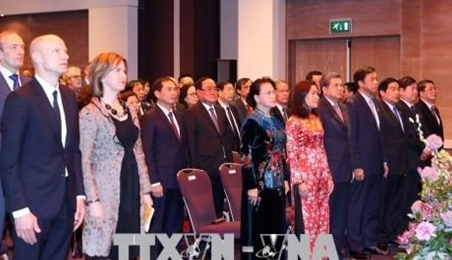 越南国会主席阮氏金银出席越南与荷兰建交45周年纪念活动