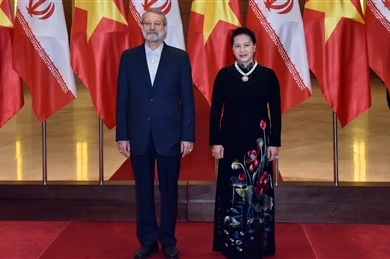 越南国会主席阮氏金银与伊朗伊斯兰议会议长举行会谈