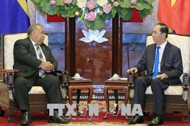 越南国家主席陈大光会见瑙鲁共和国总统