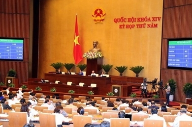 越南政府总理敦促各部门开展2019年国会监督工作计划