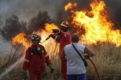 希腊森林火灾遇难人数升至74人 全国哀悼3天