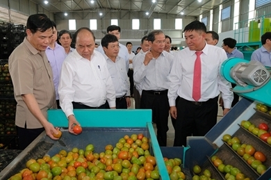 越南政府总理阮春福： 将大叻市打造成为东-西文化的象征