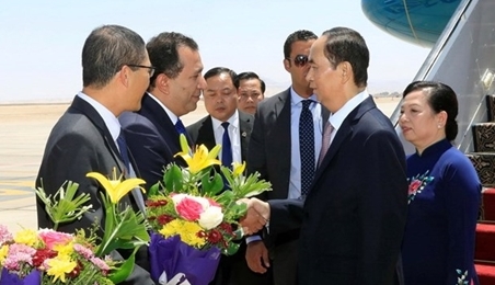 埃及媒体：陈大光访埃之旅将为两国合作开启新篇章