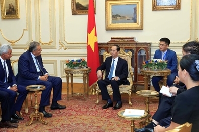 越南国家主席陈大光圆满结束对埃及的国事访问