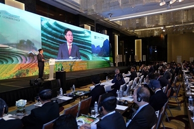 越南参加全球价值链 强调越南大米的品牌价值