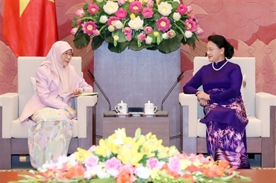 越南国会主席阮氏金银会见马来西亚副总理