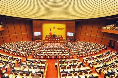 越南第十四届国会第六次会议：国会代表就热点问题对政府成员进行质询